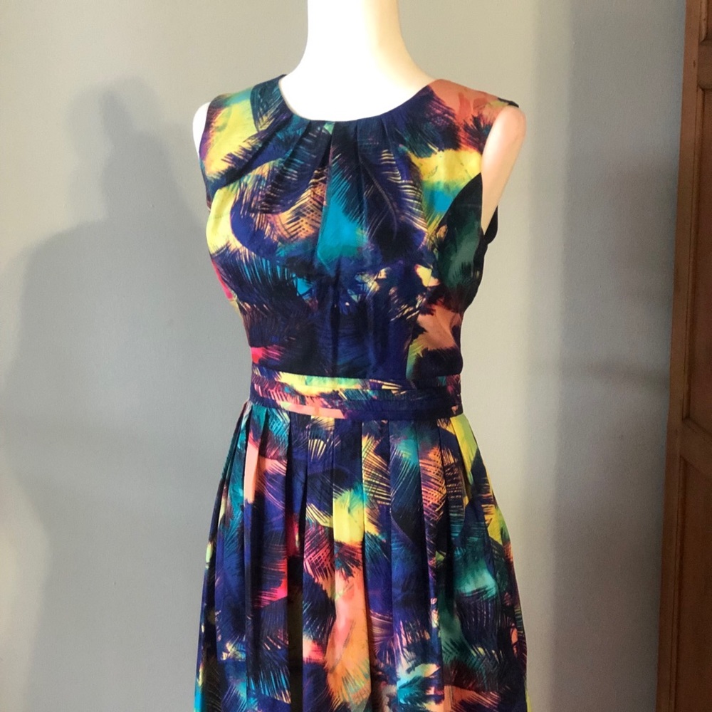 Ellen Tracy burst of color dress!
